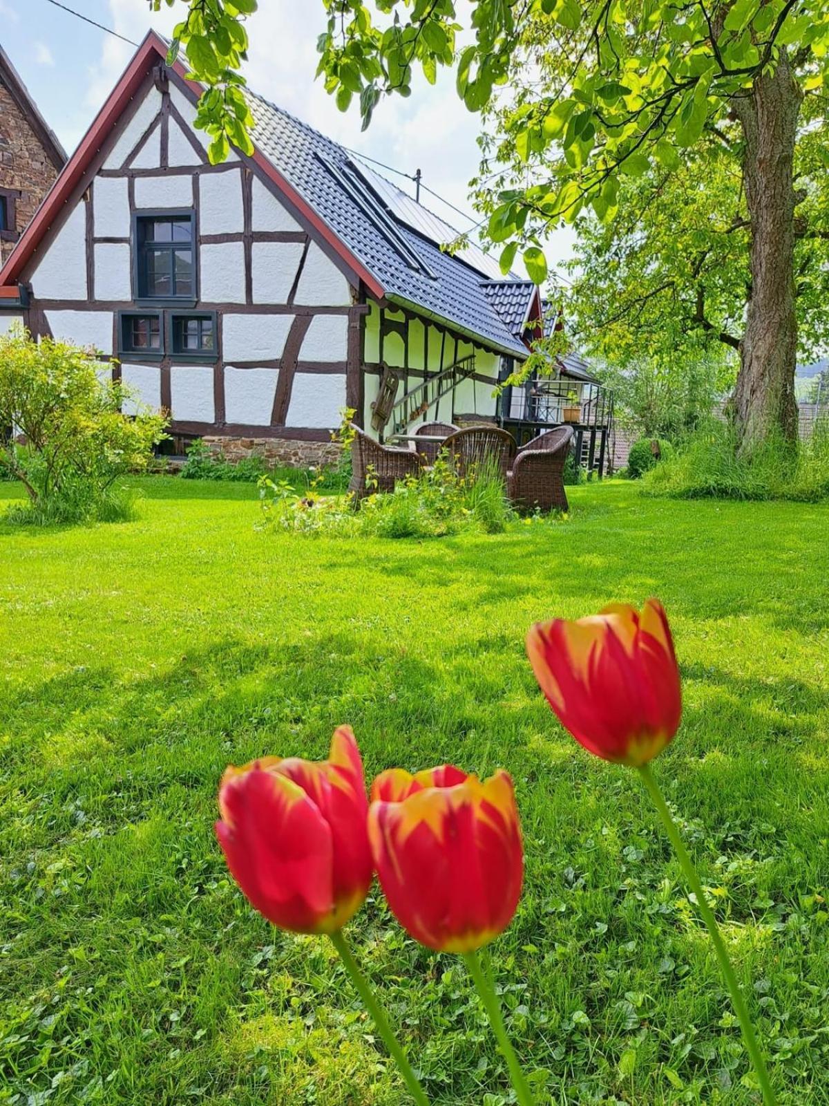 Landhaus Am Aremberg / Eifel Antweiler Eksteriør billede